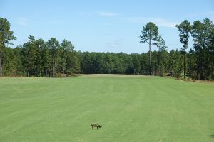 Pinehurst No10 16th Approach
